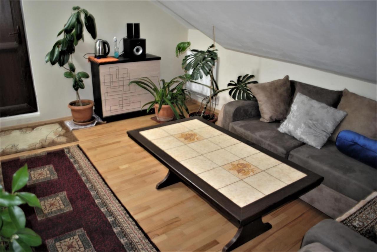 Family Guesthouse - Macharashvili Tbilisi Zewnętrze zdjęcie