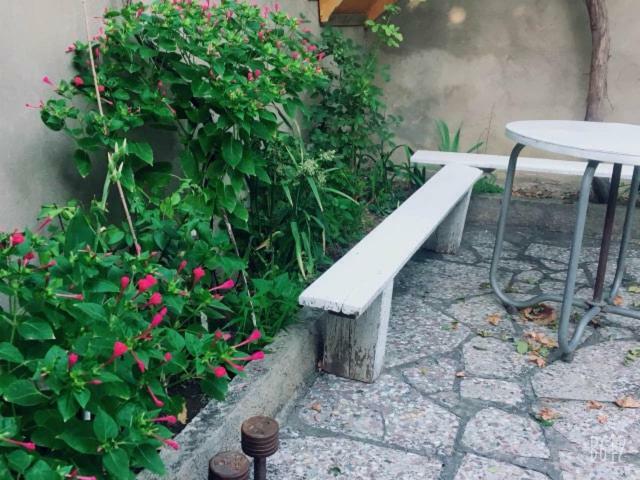 Family Guesthouse - Macharashvili Tbilisi Zewnętrze zdjęcie